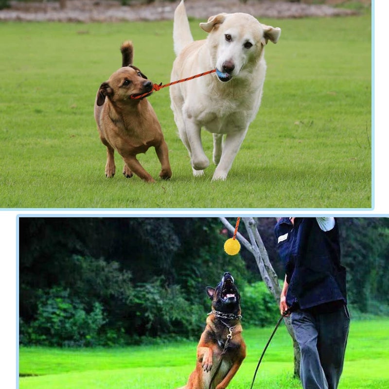 Nevperish 2 Pack Dog Ball, K9 Ball on Rope for Reward, Fetch, Play (7cm) - Image 4